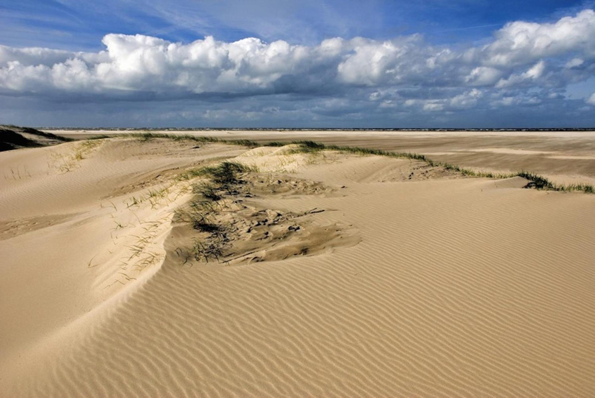 Ara Dune Hotel De Panne Kültér fotó